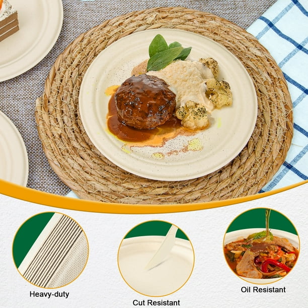 Comfy Package 100% Compostable 9 Inch Heavy-Duty Paper Plates [250